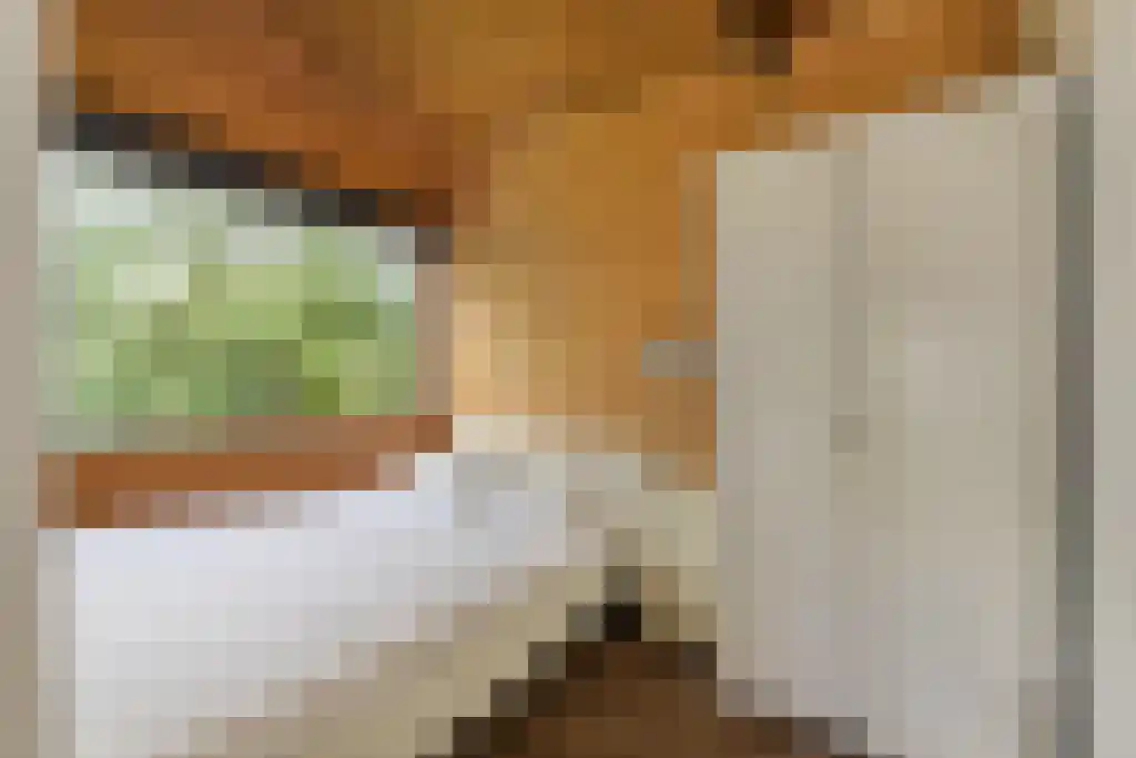 Paradijsweg 76 A Ter Aar thumbnail 15