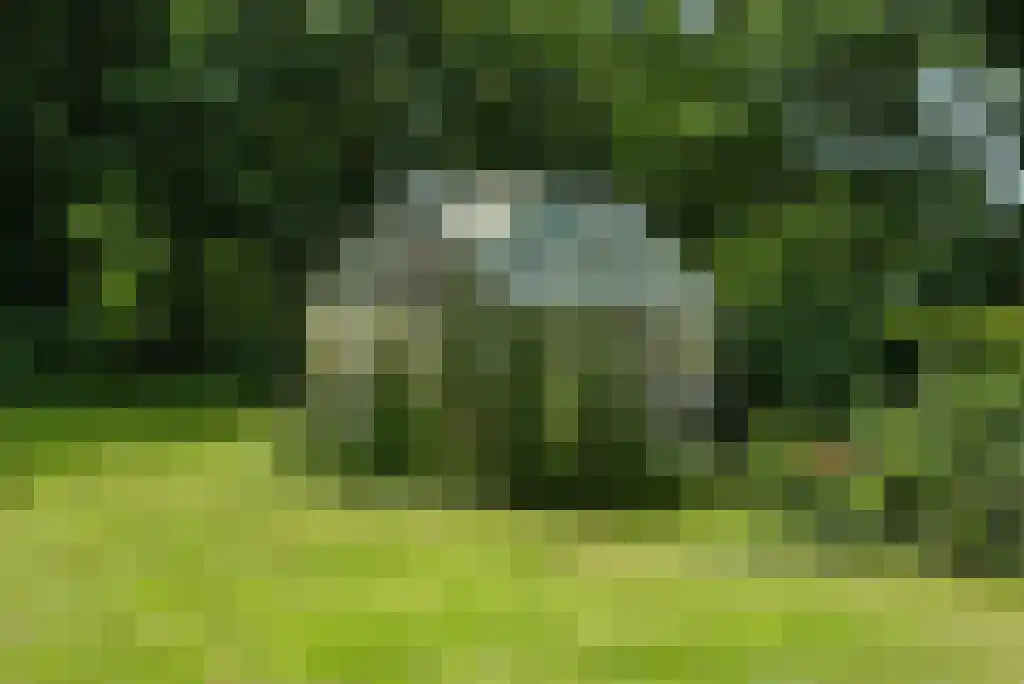 Paradijsweg 76 A Ter Aar thumbnail 22