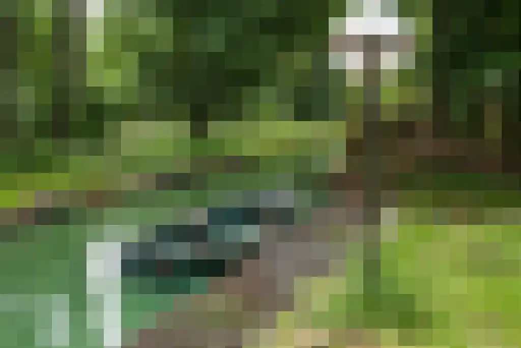 Paradijsweg 76 A Ter Aar thumbnail 23