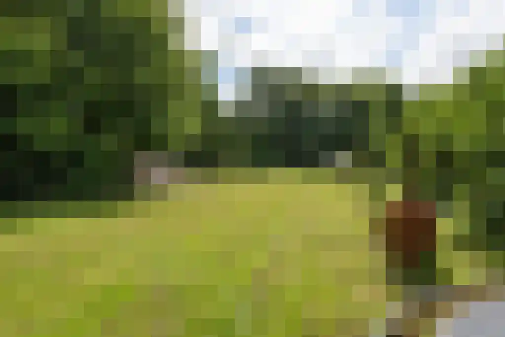 Paradijsweg 76 A Ter Aar thumbnail 24