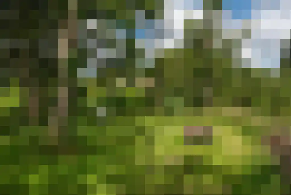 Paradijsweg 76 A Ter Aar thumbnail 25