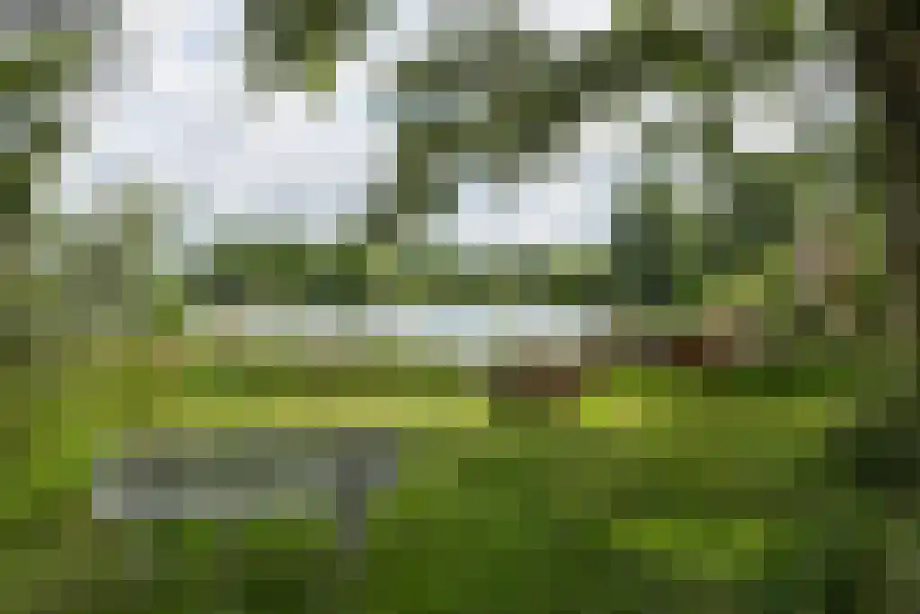 Paradijsweg 76 A Ter Aar thumbnail 26