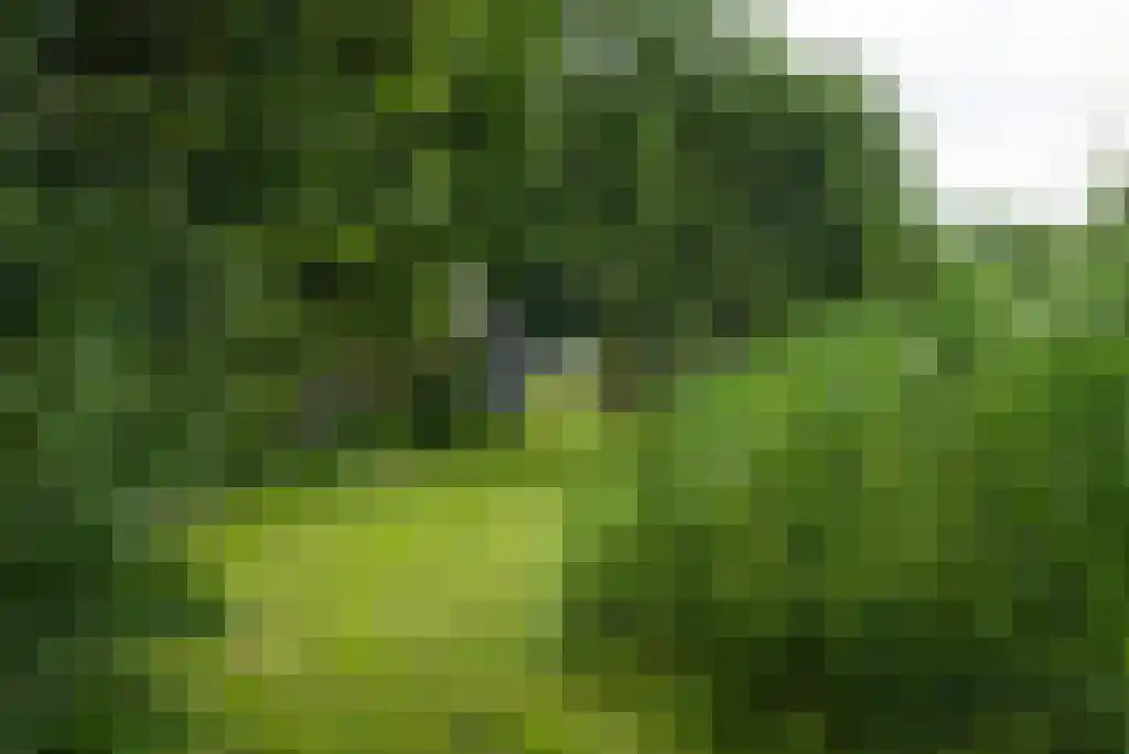 Paradijsweg 76 A Ter Aar thumbnail 29