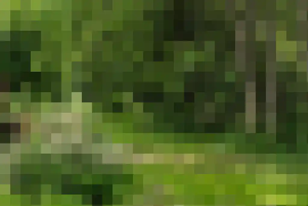 Paradijsweg 76 A Ter Aar thumbnail 30