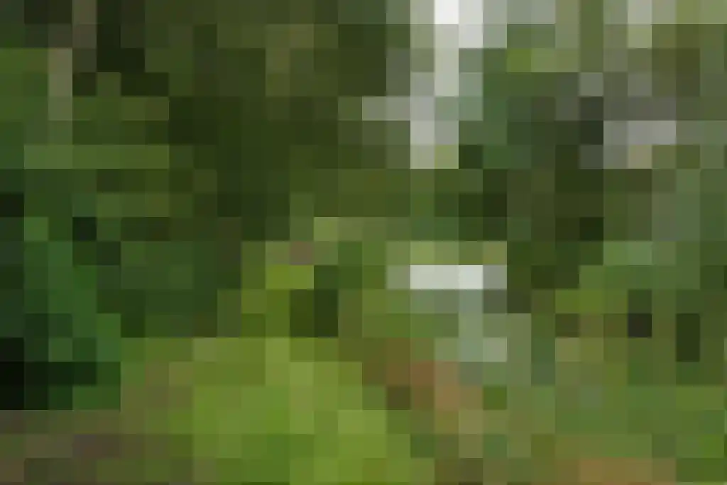 Paradijsweg 76 A Ter Aar thumbnail 31