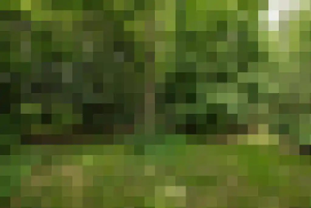 Paradijsweg 76 A Ter Aar thumbnail 32