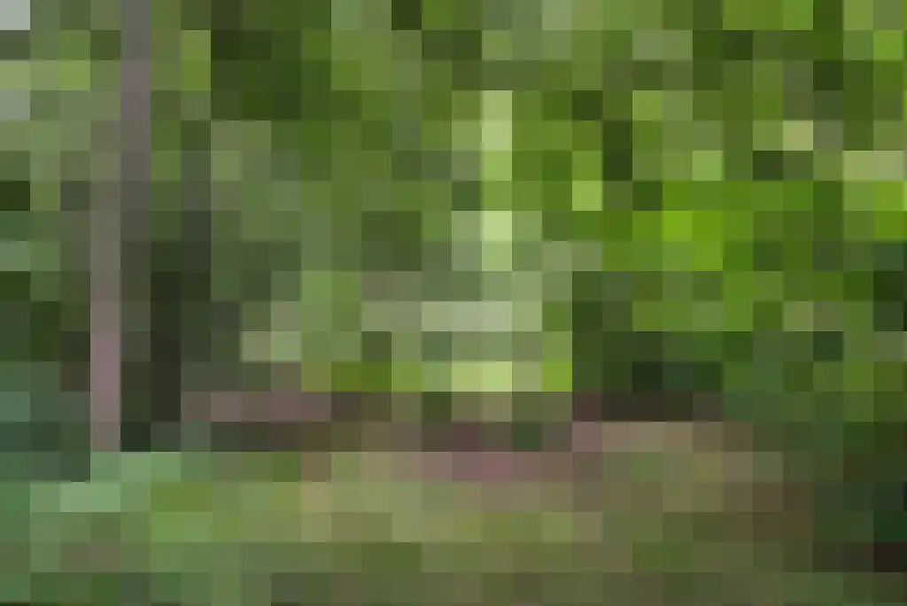 Paradijsweg 76 A Ter Aar thumbnail 33