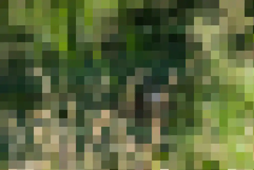 Paradijsweg 76 A Ter Aar thumbnail 34