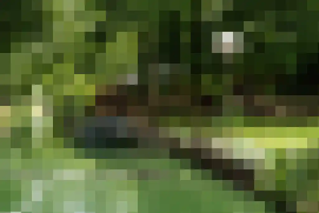 Paradijsweg 76 A Ter Aar thumbnail 35