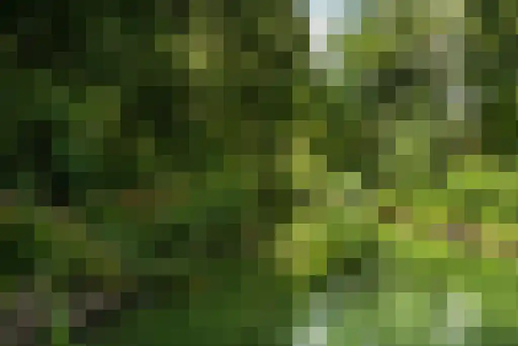 Paradijsweg 76 A Ter Aar thumbnail 36