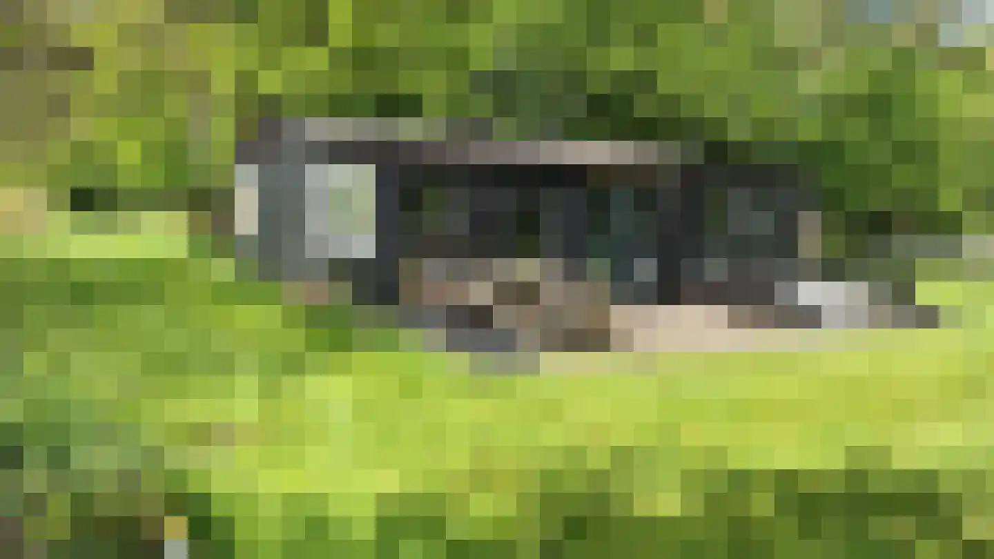 Paradijsweg 76 A Ter Aar thumbnail 5