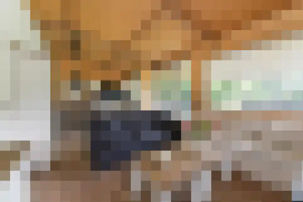 Paradijsweg 76 A Ter Aar thumbnail 6