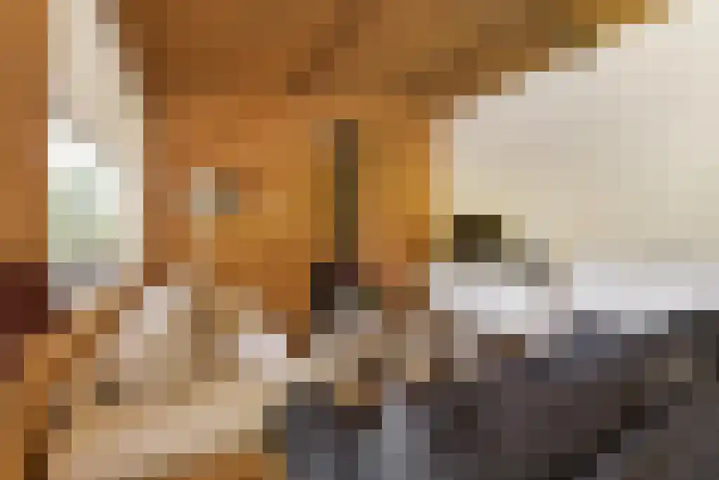 Paradijsweg 76 A Ter Aar thumbnail 7