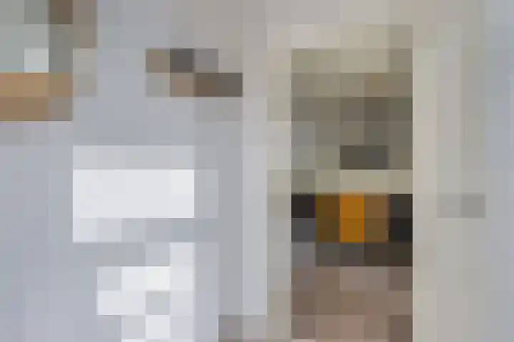 Paradyske 7 Herbaijum thumbnail 10