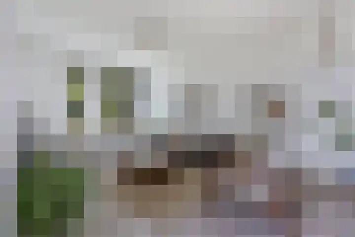 Paradyske 7 Herbaijum thumbnail 11