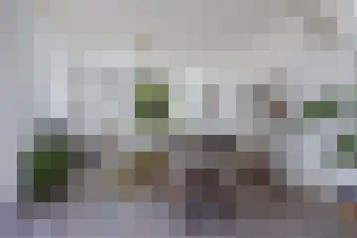Paradyske 7 Herbaijum thumbnail 12