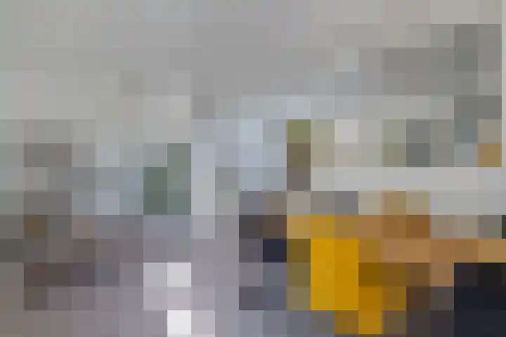Paradyske 7 Herbaijum thumbnail 14