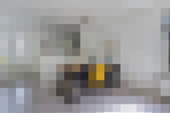 Paradyske 7 Herbaijum thumbnail 15