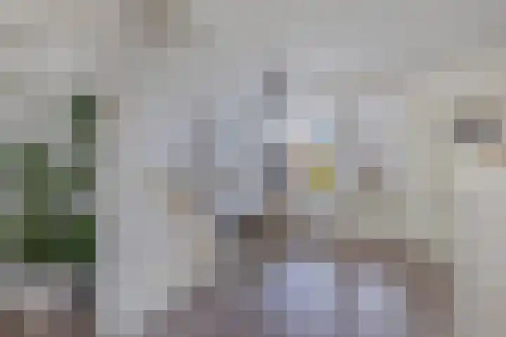 Paradyske 7 Herbaijum thumbnail 16