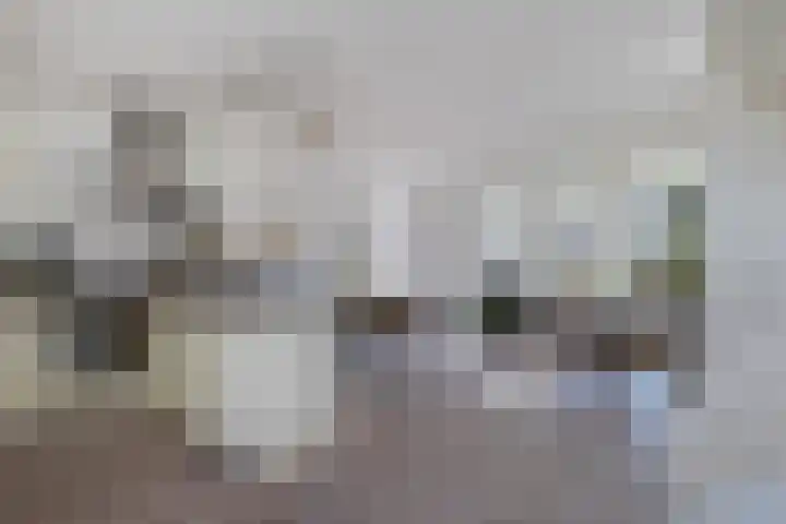 Paradyske 7 Herbaijum thumbnail 18