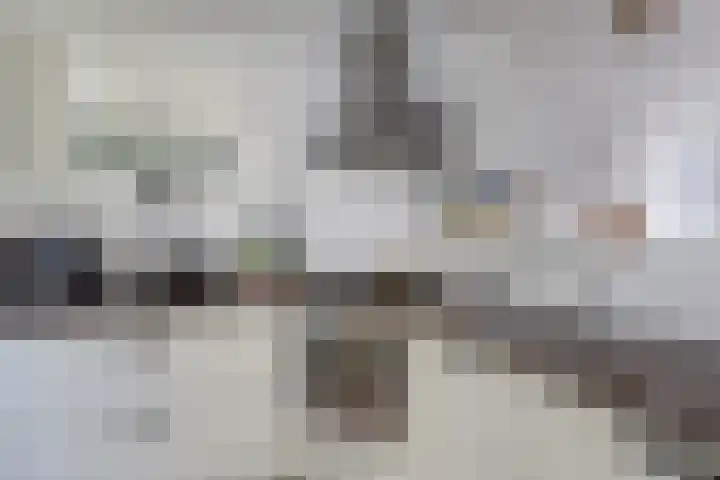 Paradyske 7 Herbaijum thumbnail 19