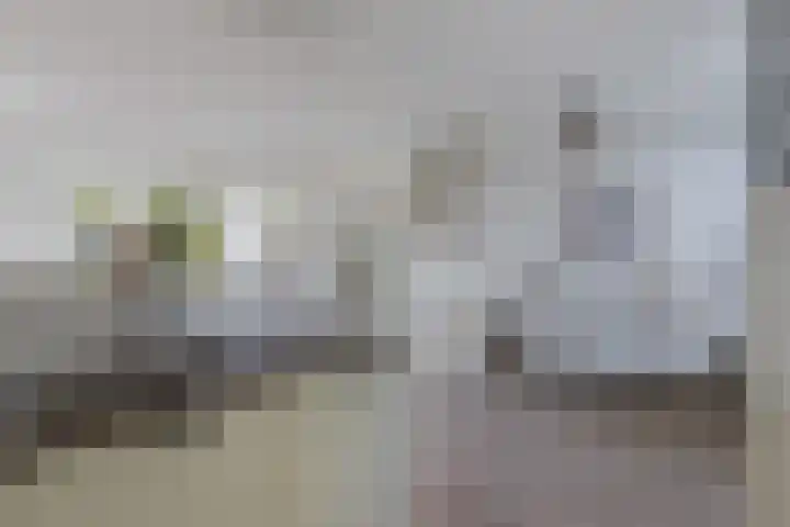 Paradyske 7 Herbaijum thumbnail 20