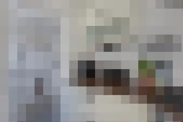 Paradyske 7 Herbaijum thumbnail 21