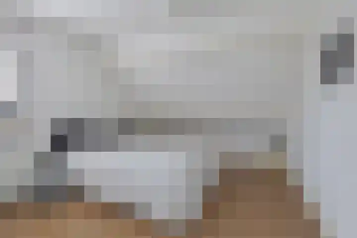 Paradyske 7 Herbaijum thumbnail 23