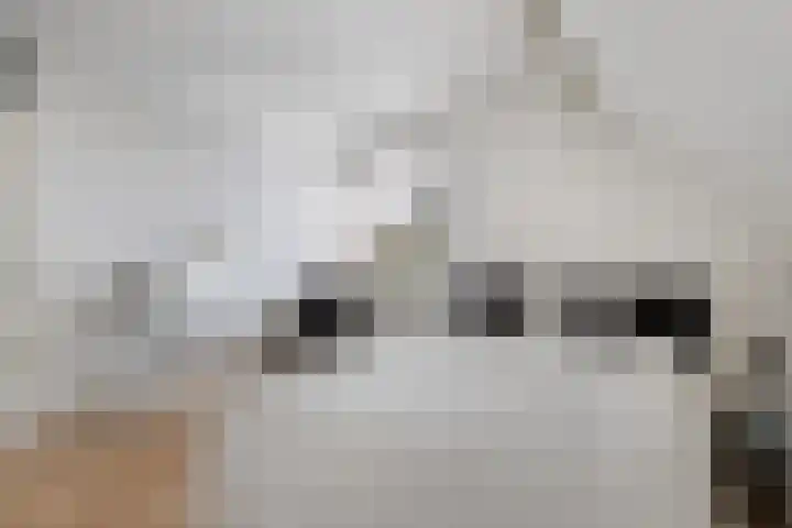 Paradyske 7 Herbaijum thumbnail 24
