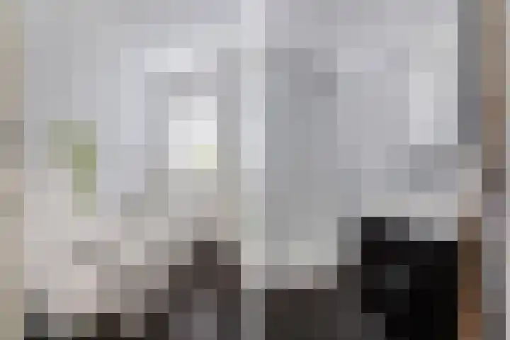 Paradyske 7 Herbaijum thumbnail 28
