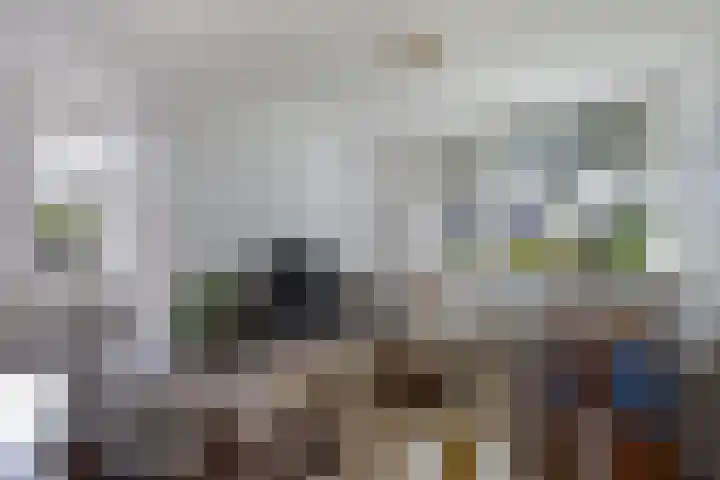 Paradyske 7 Herbaijum foto 3