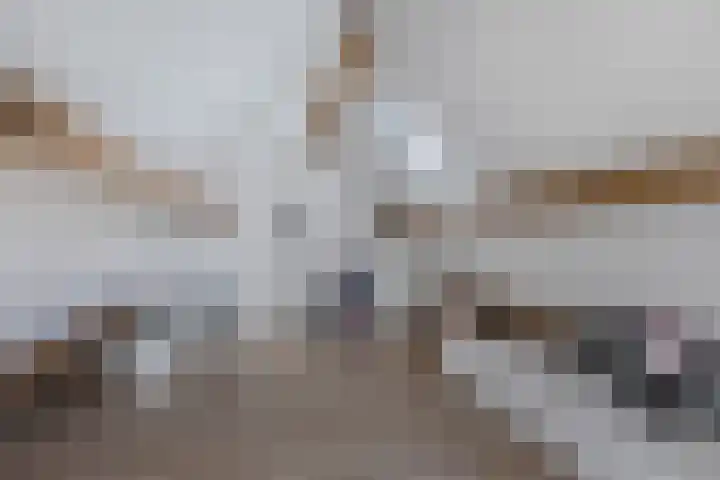 Paradyske 7 Herbaijum thumbnail 30
