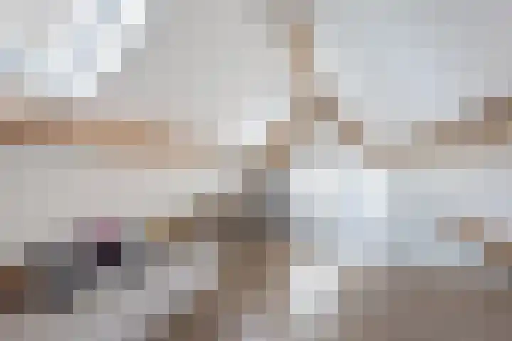 Paradyske 7 Herbaijum thumbnail 31