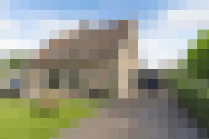 Paradyske 7 Herbaijum thumbnail 33