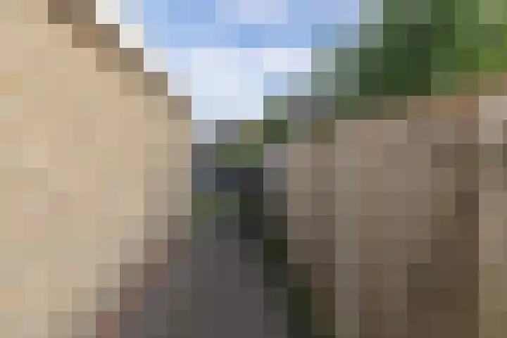 Paradyske 7 Herbaijum thumbnail 34