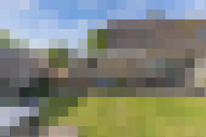 Paradyske 7 Herbaijum thumbnail 35