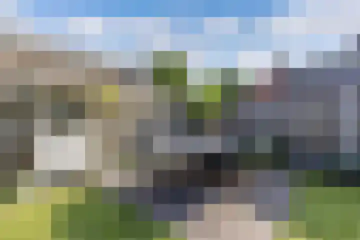 Paradyske 7 Herbaijum thumbnail 36