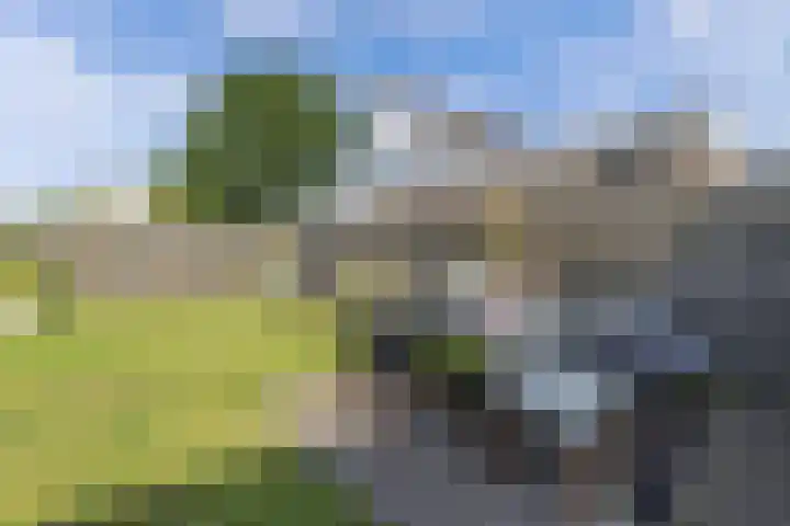 Paradyske 7 Herbaijum thumbnail 37