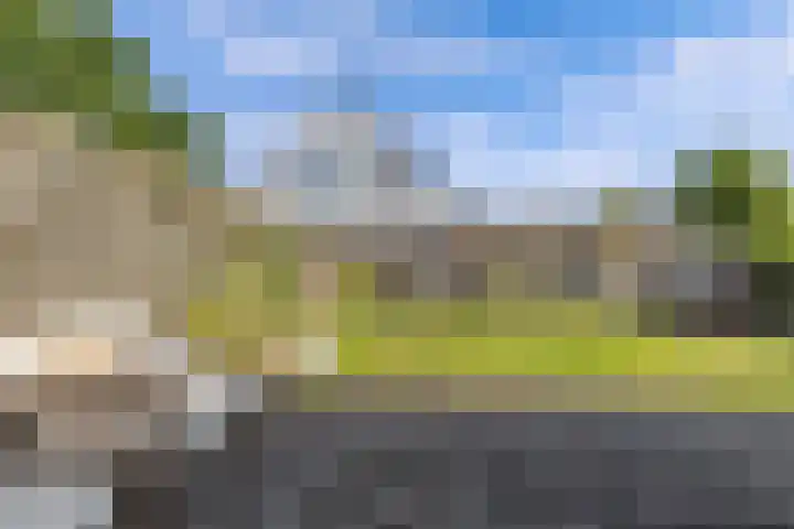 Paradyske 7 Herbaijum thumbnail 39