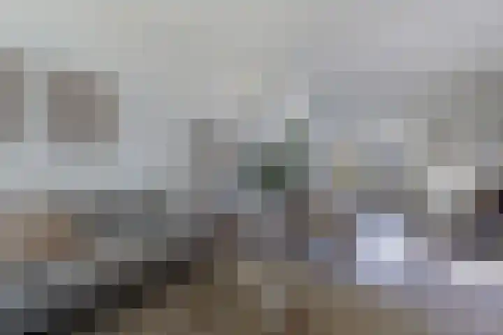 Paradyske 7 Herbaijum thumbnail 4