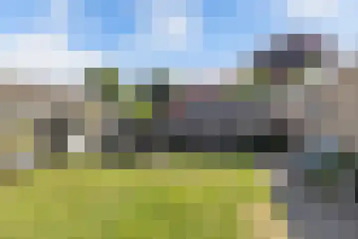 Paradyske 7 Herbaijum thumbnail 40