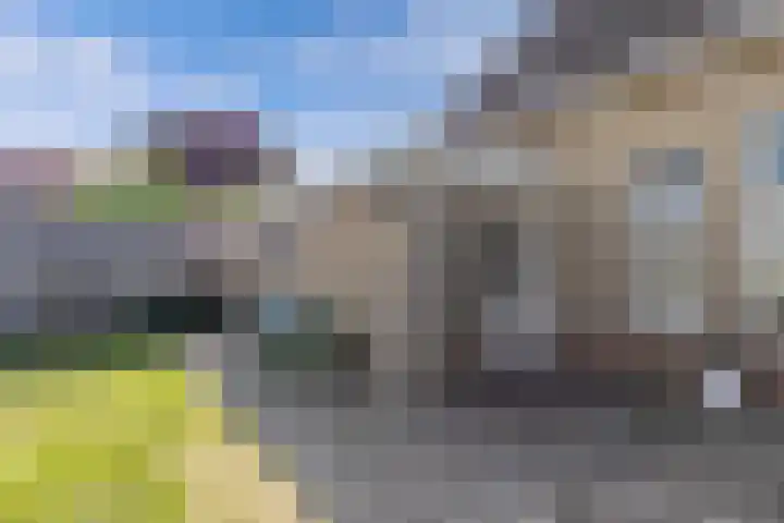 Paradyske 7 Herbaijum thumbnail 41