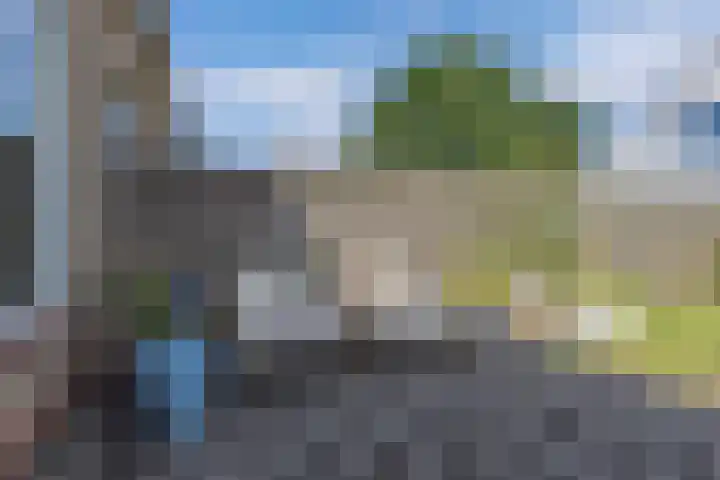 Paradyske 7 Herbaijum thumbnail 42