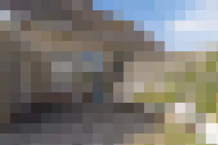 Paradyske 7 Herbaijum thumbnail 43
