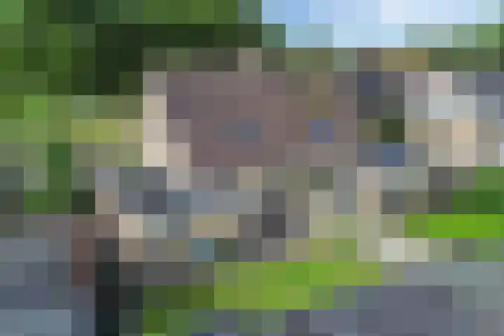 Paradyske 7 Herbaijum thumbnail 44