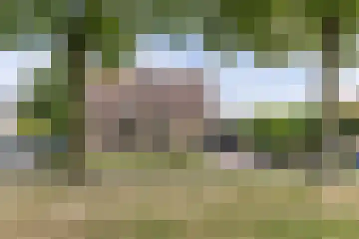 Paradyske 7 Herbaijum thumbnail 45