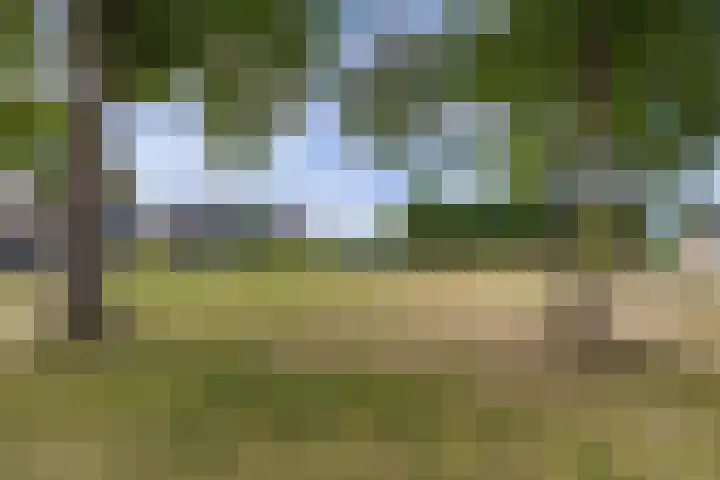 Paradyske 7 Herbaijum thumbnail 47