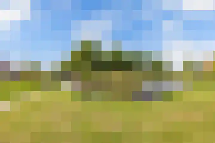 Paradyske 7 Herbaijum thumbnail 48