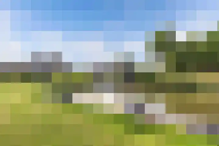 Paradyske 7 Herbaijum thumbnail 49