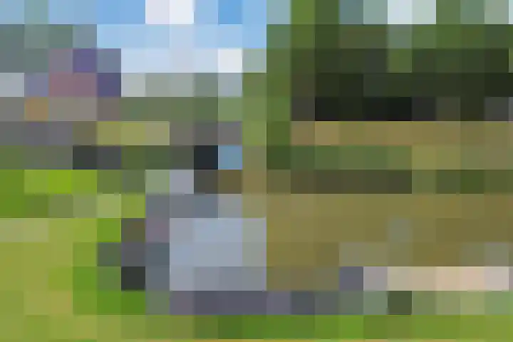 Paradyske 7 Herbaijum thumbnail 5